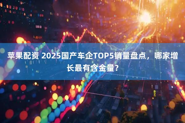 苹果配资 2025国产车企TOP5销量盘点，哪家增长最有含金量？