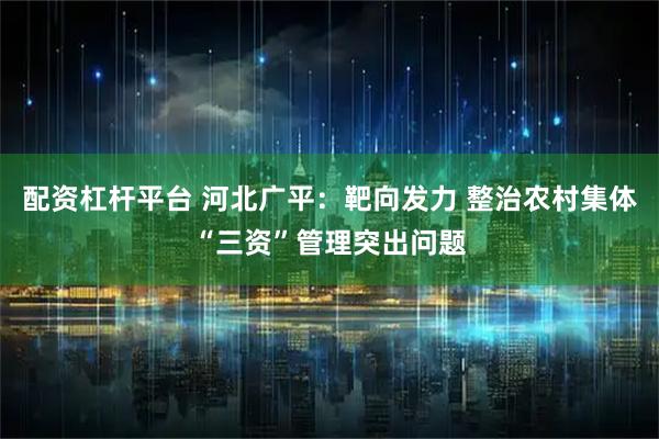 配资杠杆平台 河北广平：靶向发力 整治农村集体“三资”管理突出问题