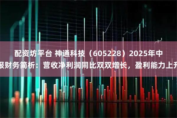 配资坊平台 神通科技（605228）2025年中报财务简析：营收净利润同比双双增长，盈利能力上升