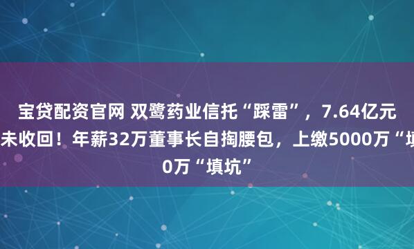 宝贷配资官网 双鹭药业信托“踩雷”，7.64亿元本金未收回！年薪32万董事长自掏腰包，上缴5000万“填坑”
